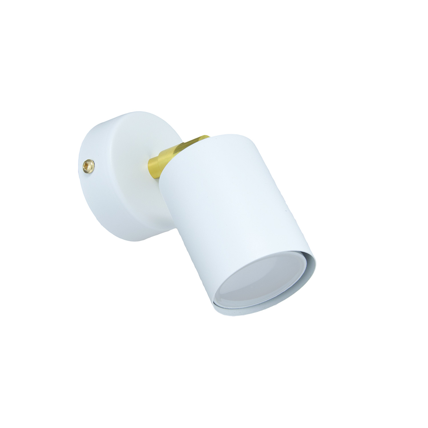 SPOTG/1KB SPOTEYE GOLD, 1xGU10/35W, white foto4