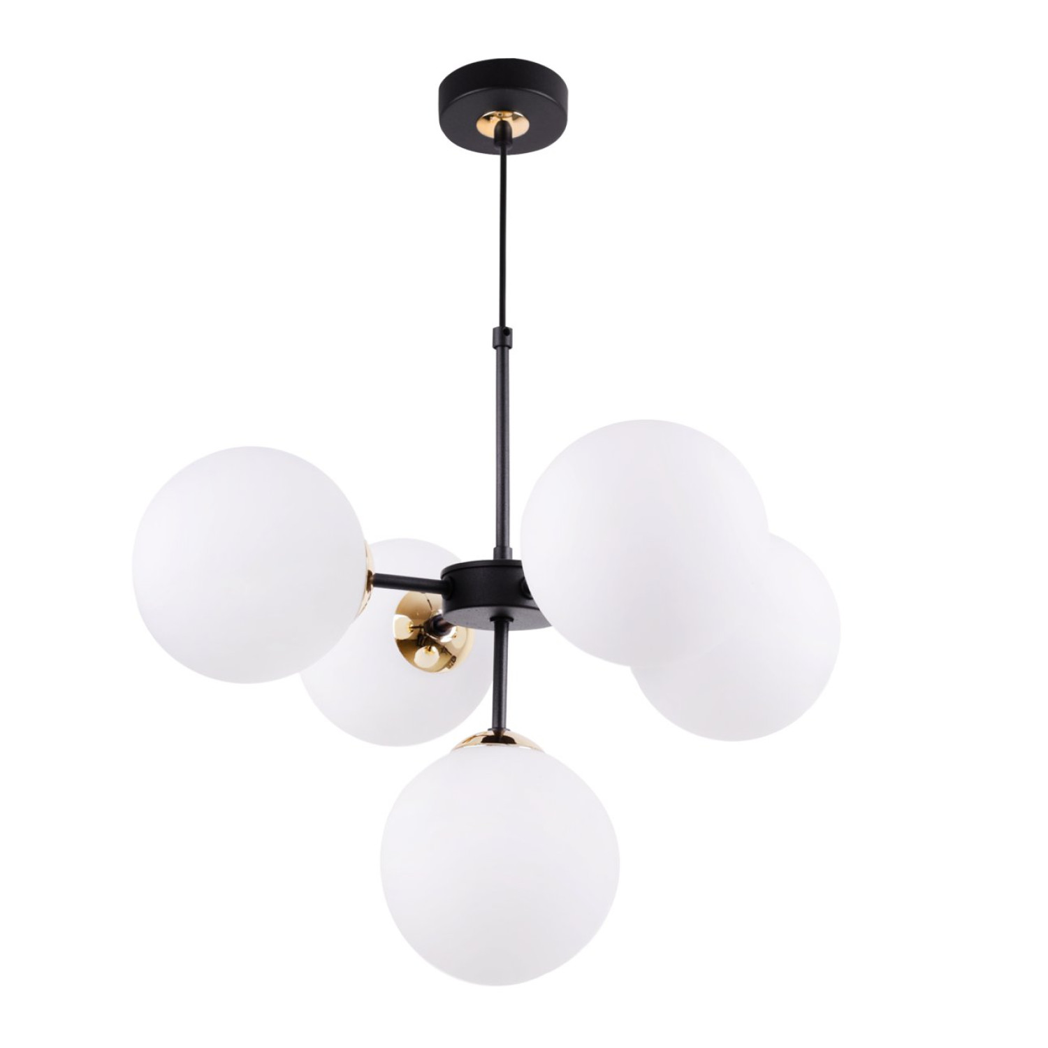 Černozlatá Regulovatelná Stropní Lampa se 5 Bílými Foukanými Stínidly"IMPERIA"